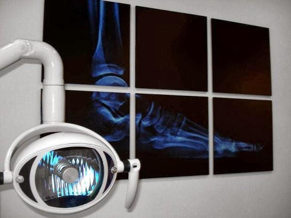 Imagen 21 Arroces de Doñana S.L. foto