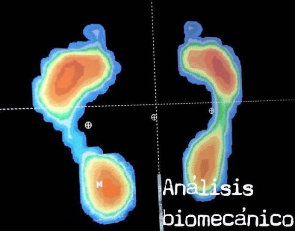 Imagen 25 Arroces de Doñana S.L. foto