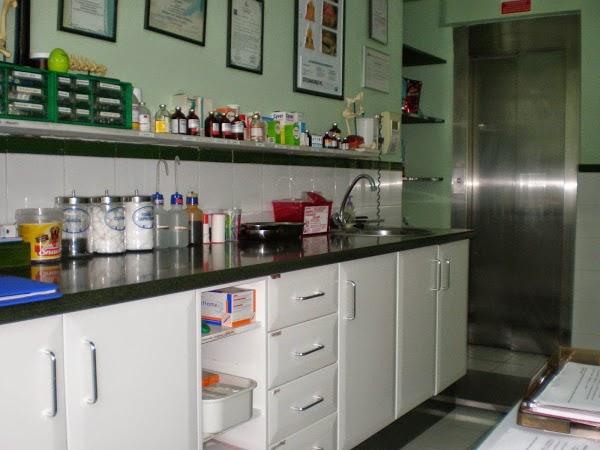 Imagen 101 Clinica Veterinaria Hospivet Tenerife Norte foto