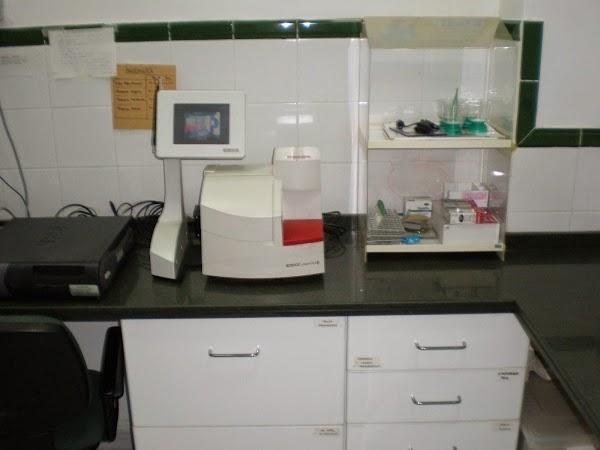 Imagen 160 Clinica Veterinaria Hospivet Tenerife Norte foto