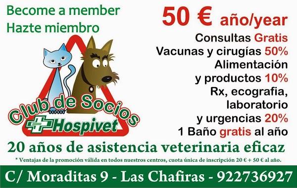 Imagen 98 Clinica Veterinaria Hospivet Tenerife Norte foto