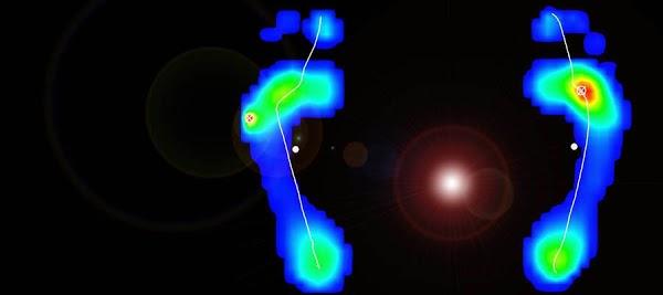 Imagen 6 The Rokes Plaza Hotel foto