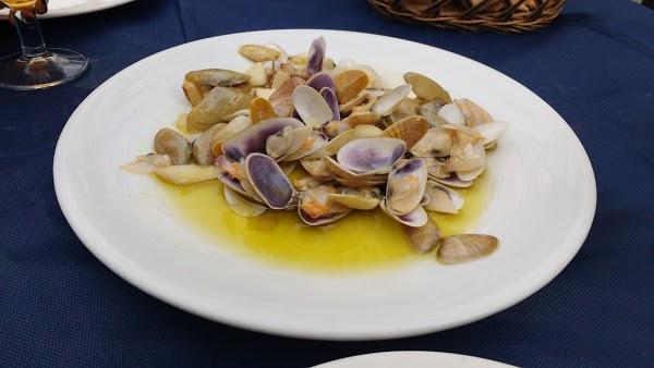 Imagen 40 Tribuna Norte foto