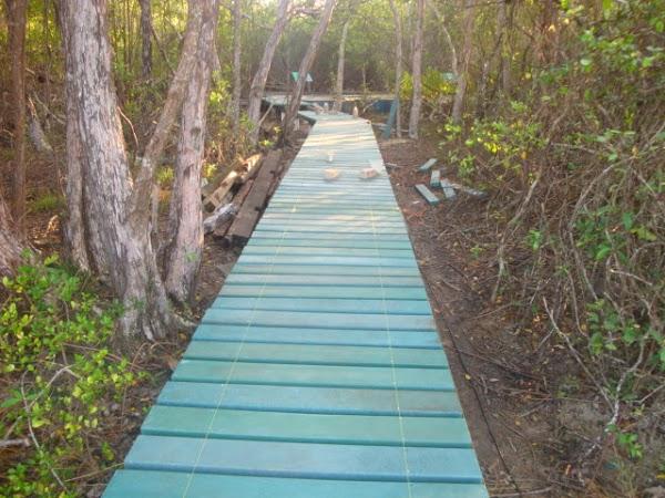 Imagen 8 Municipio de Huamantla Tlaxcala foto