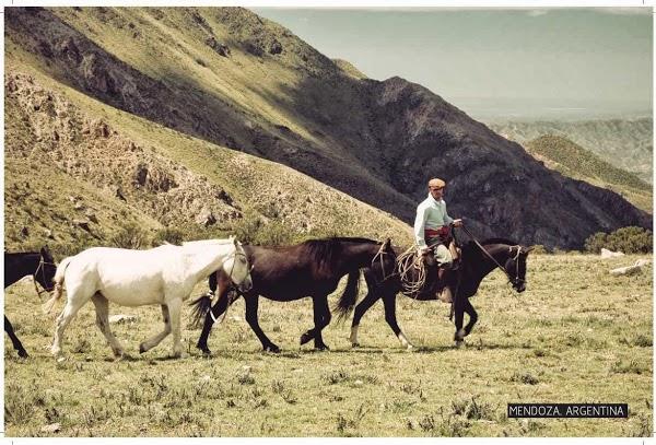Imagen 1 Oficina de Turismo de Pasaia- Casa Victor Hugo Etxea foto