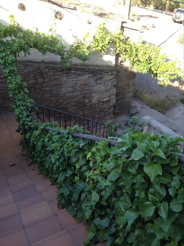 Imagen 22 Ventanas aluminio Pvc PuigSoler foto