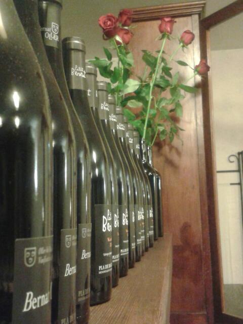 Imagen 24 Ventanas aluminio Pvc PuigSoler foto