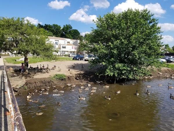 Imagen 55 Ventanas aluminio Pvc PuigSoler foto