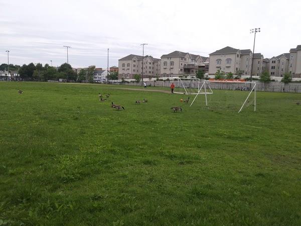 Imagen 56 Ventanas aluminio Pvc PuigSoler foto