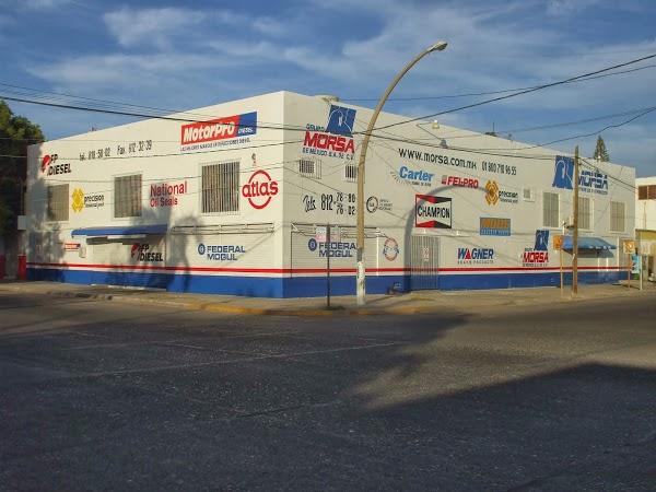 Imagen 12 JARDINERÍA GARDENSOL S.L.U. foto