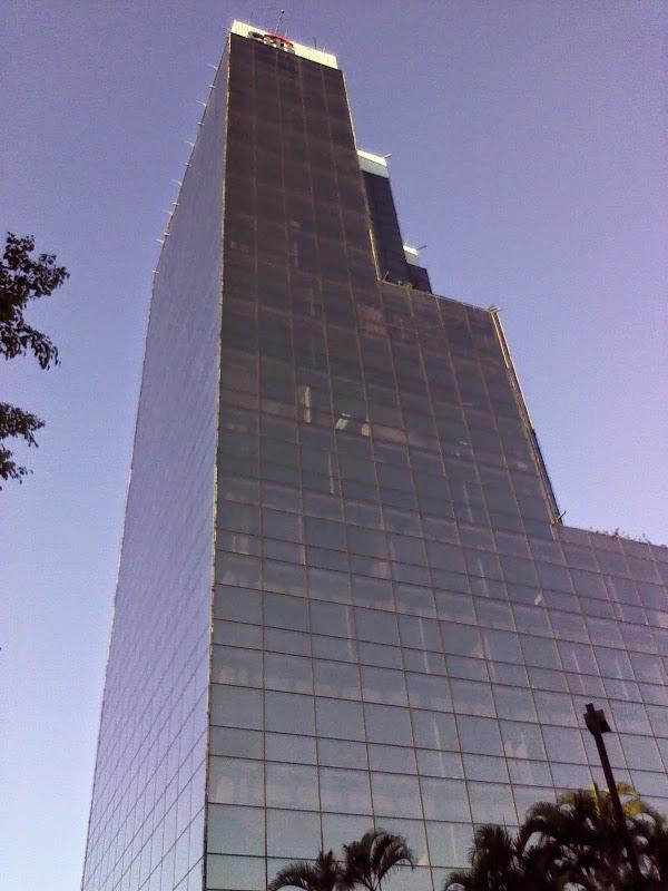 Imagen 5 JARDINERÍA GARDENSOL S.L.U. foto