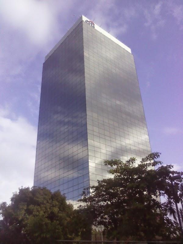 Imagen 6 JARDINERÍA GARDENSOL S.L.U. foto