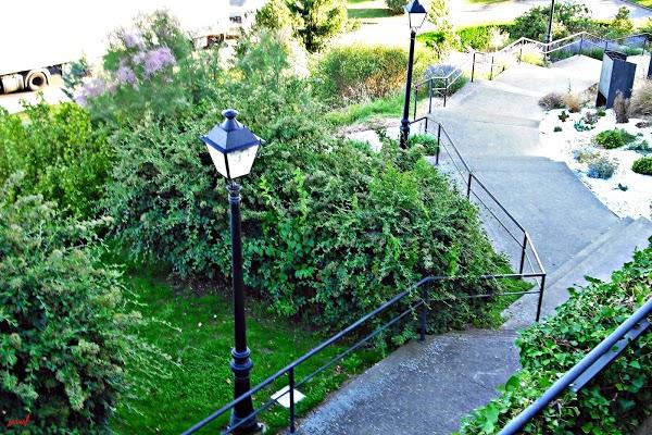 Imagen 29 Electromontiel Servicios Eléctricos del Sur, S.L.L. foto