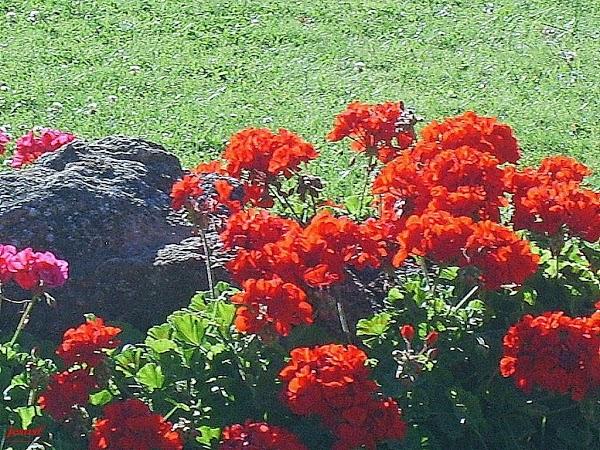 Imagen 7 Electromontiel Servicios Eléctricos del Sur, S.L.L. foto