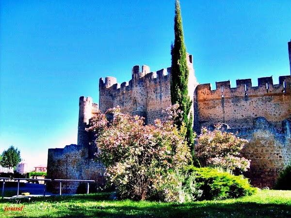 Imagen 10 Electromontiel Servicios Eléctricos del Sur, S.L.L. foto