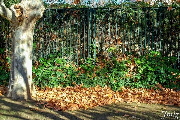 Imagen 33 Restaurante la Fontana foto