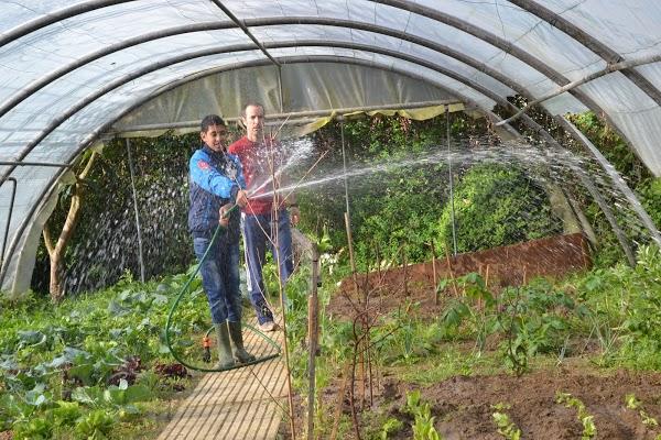 Imagen 25 Alcázar de San Juan foto