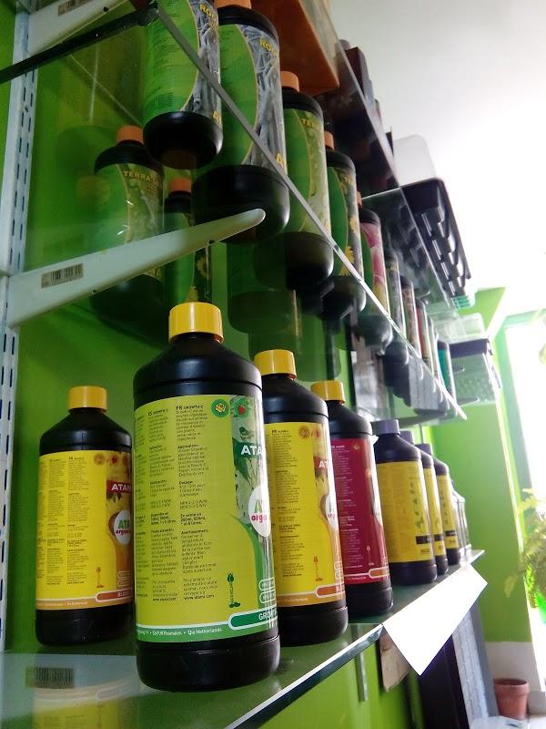 Imagen 11 CLINICA SANTO DOMINGO - Implantes Dentales y Periodoncia foto