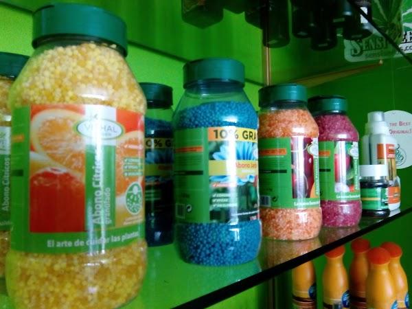 Imagen 38 CLINICA SANTO DOMINGO - Implantes Dentales y Periodoncia foto