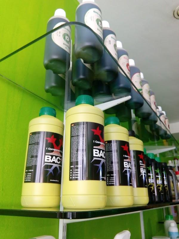 Imagen 39 CLINICA SANTO DOMINGO - Implantes Dentales y Periodoncia foto