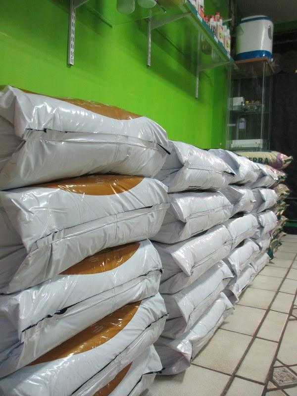 Imagen 40 CLINICA SANTO DOMINGO - Implantes Dentales y Periodoncia foto