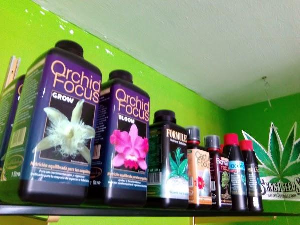 Imagen 42 CLINICA SANTO DOMINGO - Implantes Dentales y Periodoncia foto