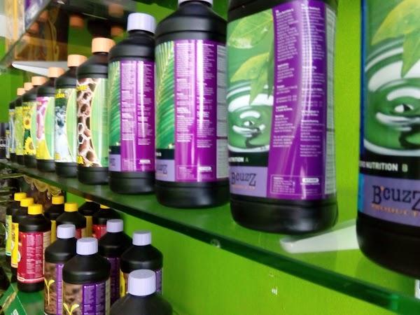 Imagen 44 CLINICA SANTO DOMINGO - Implantes Dentales y Periodoncia foto