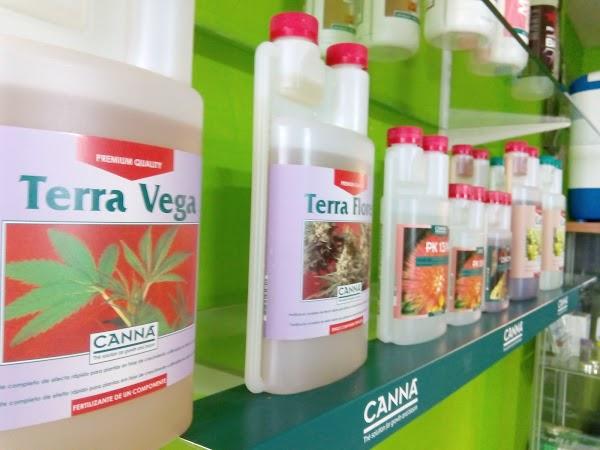 Imagen 46 CLINICA SANTO DOMINGO - Implantes Dentales y Periodoncia foto