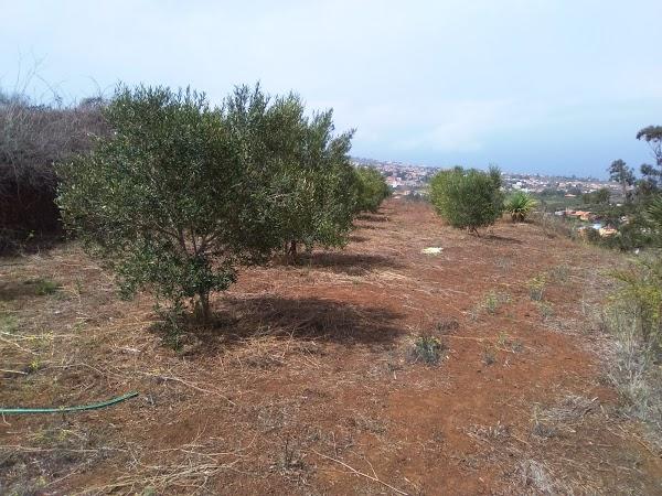 Imagen 57 Teatro Municipal de Aguimes foto