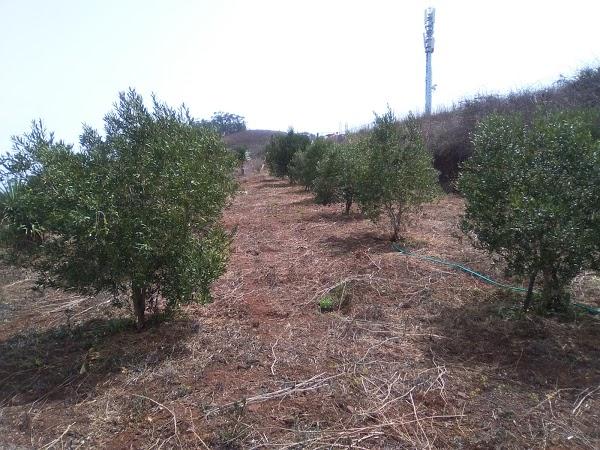 Imagen 60 Teatro Municipal de Aguimes foto