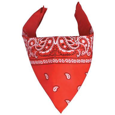 Imagen 33 Centro del Saber San Miguel foto