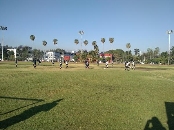 Imagen 61 Pista de Atletismo CUCEI foto