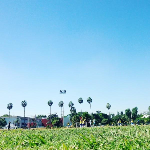 Imagen 64 Pista de Atletismo CUCEI foto