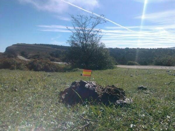 Imagen 20 Centro Comercial El Jamón S.L. foto