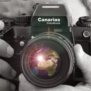 Imagen 9 Cervecería 101 foto