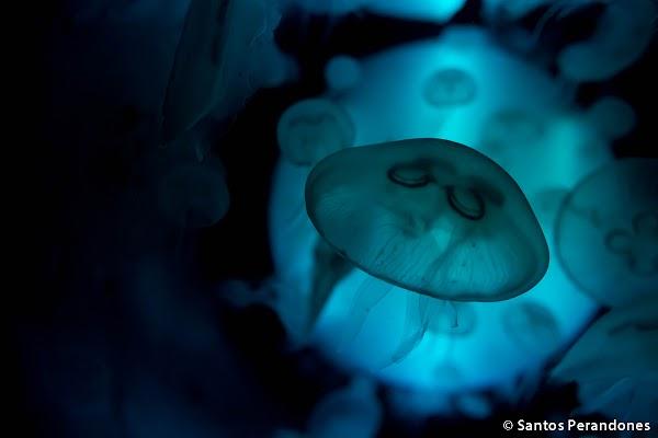 Imagen 13 BIGCOMsat, S.L. foto