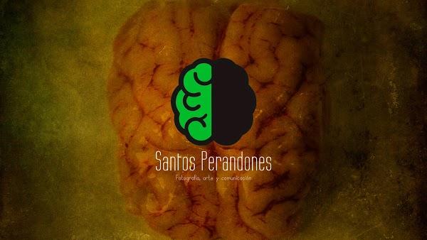 Imagen 19 Bodegas del Pino foto