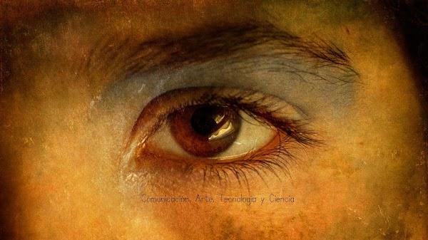 Imagen 32 Bodegas del Pino foto