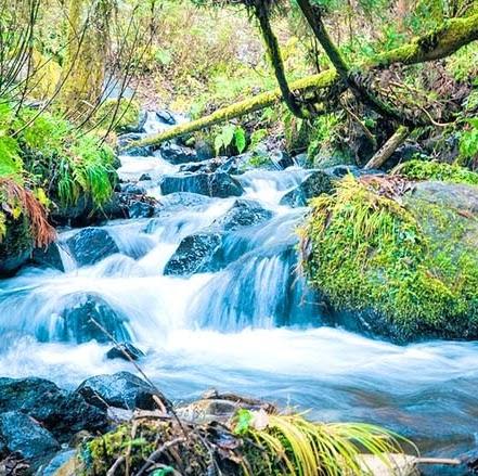 Imagen 36 Bodegas del Pino foto