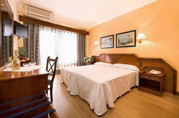 Imagen 10 TIENDA HÍPICA CANALON,Piensos Pajareria Biona foto