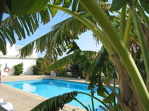 Imagen 47 Aparthotel SUNNY BEACH foto
