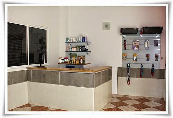 Imagen 33 HISPALVET VETERINARIOS foto
