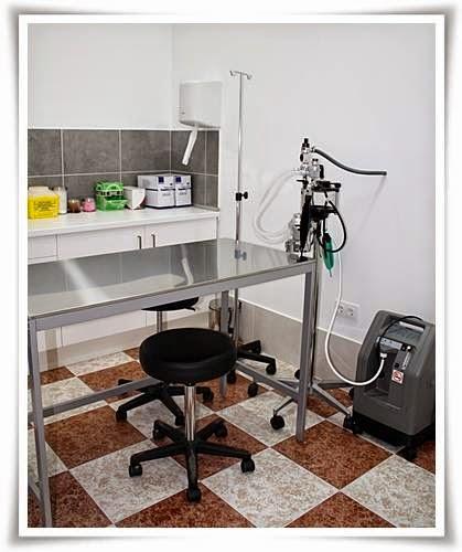 Imagen 36 HISPALVET VETERINARIOS foto