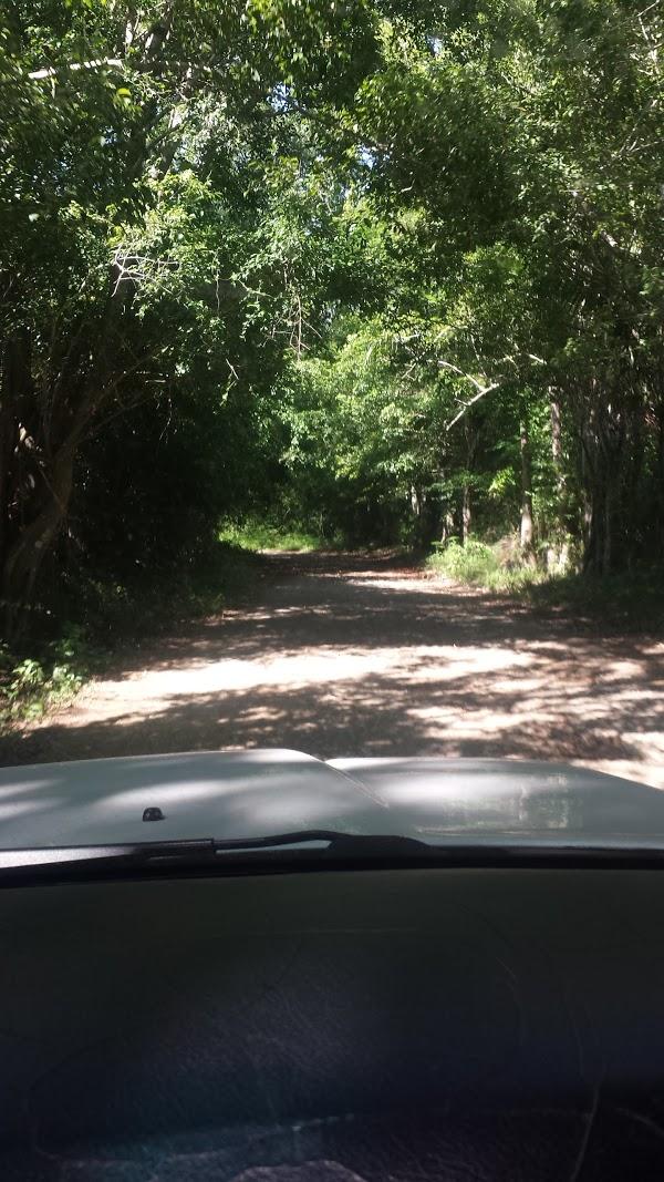 Imagen 51 Chafiras La Laguna Baños y Cerámicas foto
