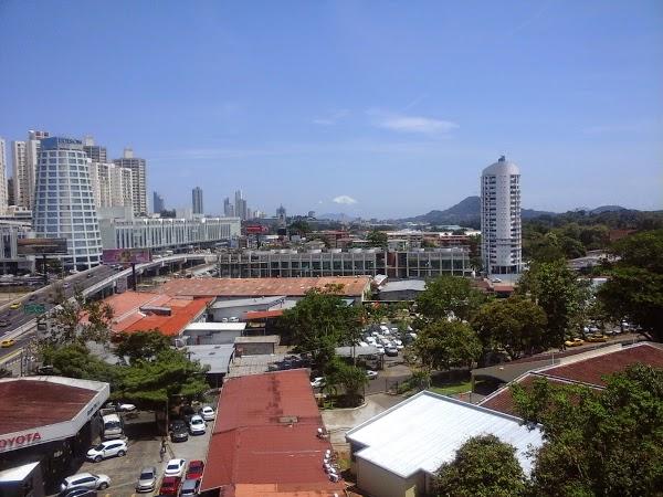 Imagen 31 Floristería Azalea foto