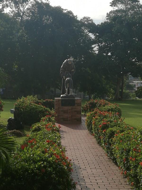 Imagen 39 Floristería Azalea foto