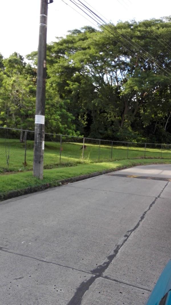 Imagen 63 Tasca el Tejadito foto