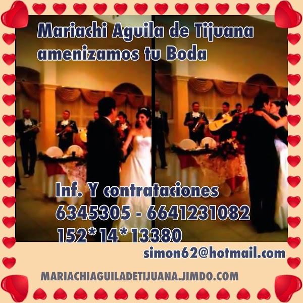 Imagen 45 Basoli Sabadell foto