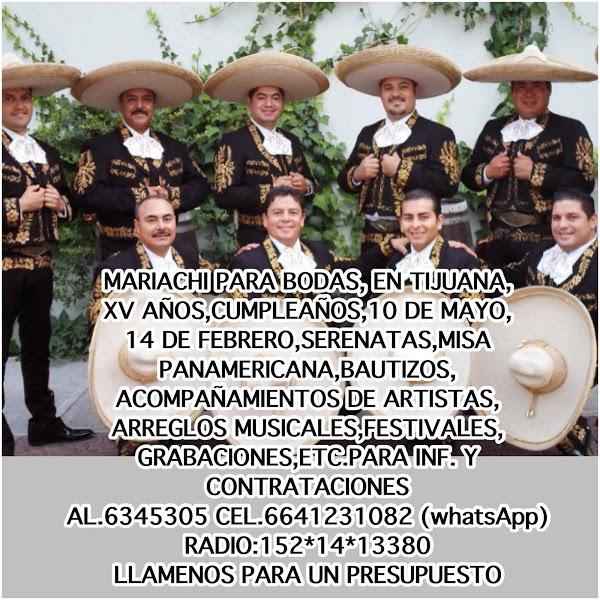 Imagen 51 Pizza Klam Igualada foto