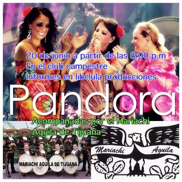 Imagen 52 Pizza Klam Igualada foto